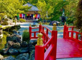 人間万事塞翁が馬